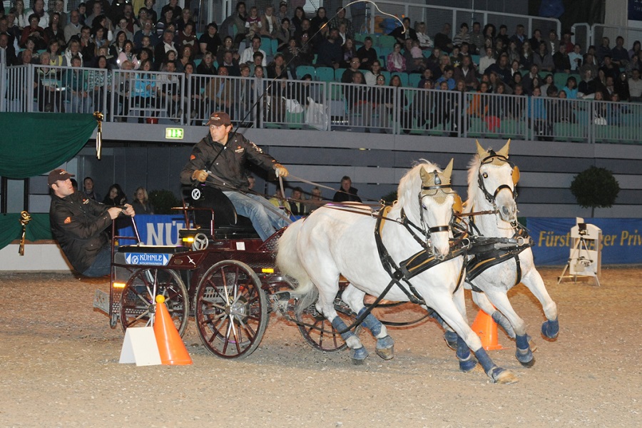 馬展,德國馬展,馬匹比賽 馬展,德國馬展,馬匹比賽